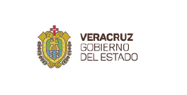 LOGO VERACRUZ (1)